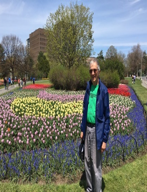 Tulip Festival at Dows Lake